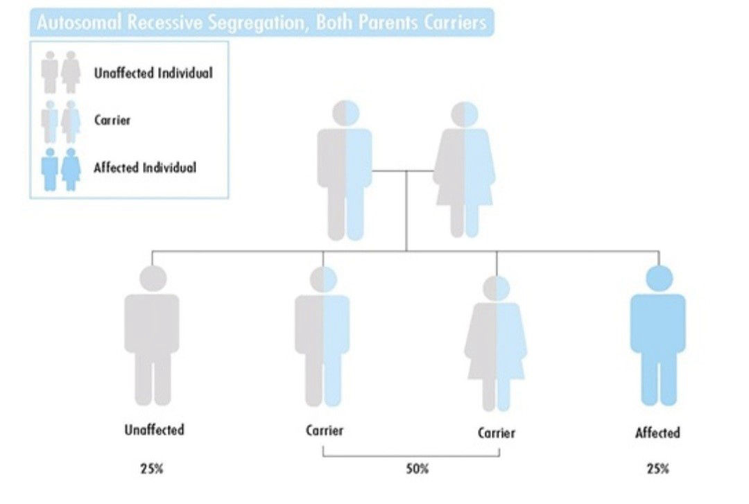 image-expanded-carrier-screening